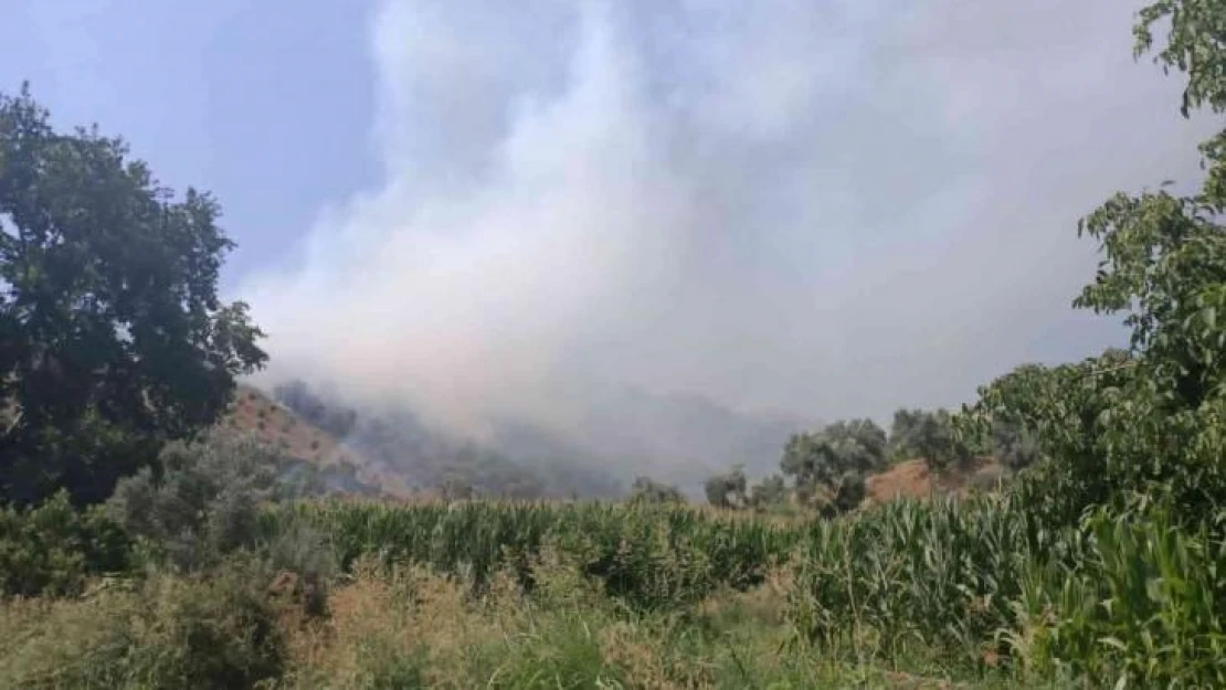 İzmir'de ormanlık alanda yangın