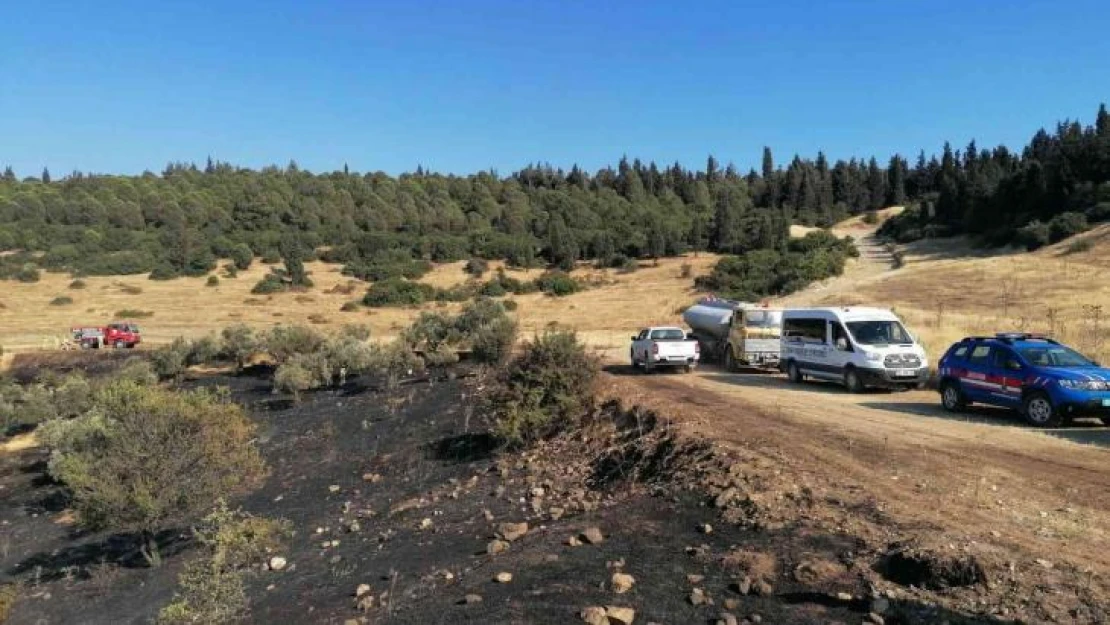 İzmir'de otluk alanda çıkan yangınlara hızlı müdahale