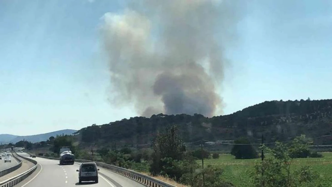 İzmir'de otluk alanda yangın