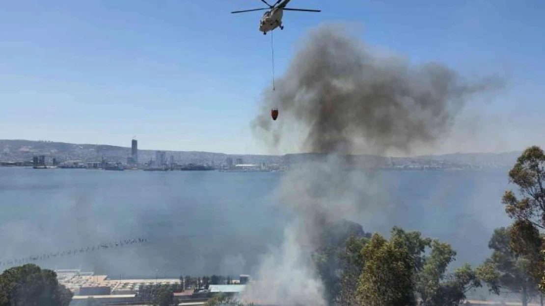 İzmir'de otluk alanda yangın