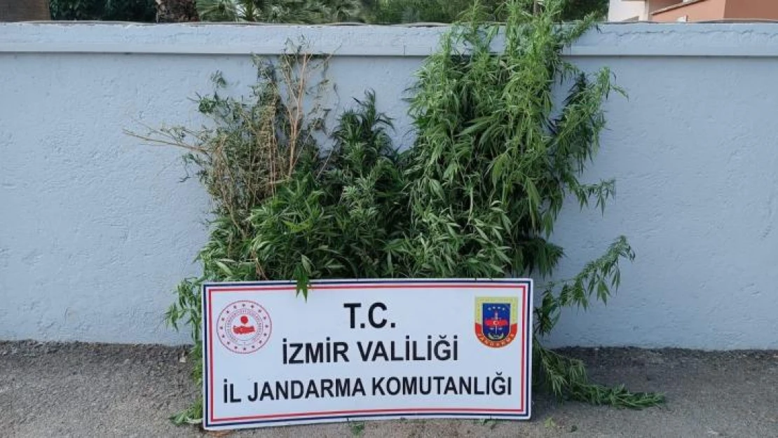 İzmir'de uyuşturucu baskınları: 27 şüpheli yakalandı