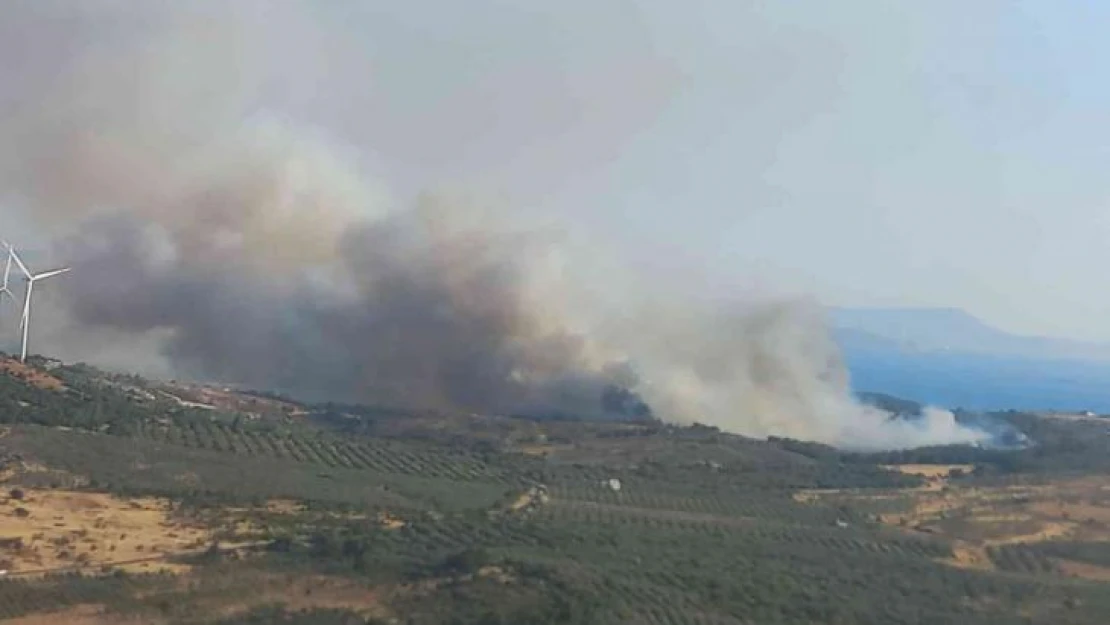 İzmir'de ziraat arazisinde çıkan yangın kontrol altına alındı