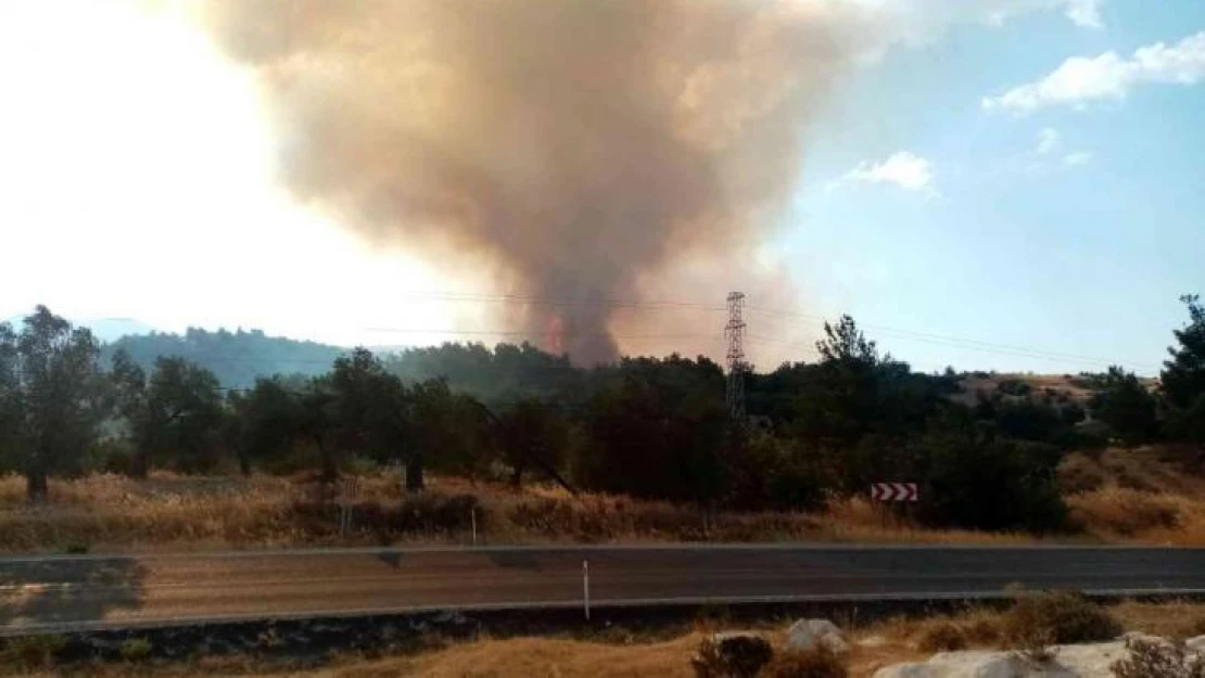 İzmir'de ziraat arazisinde yangın