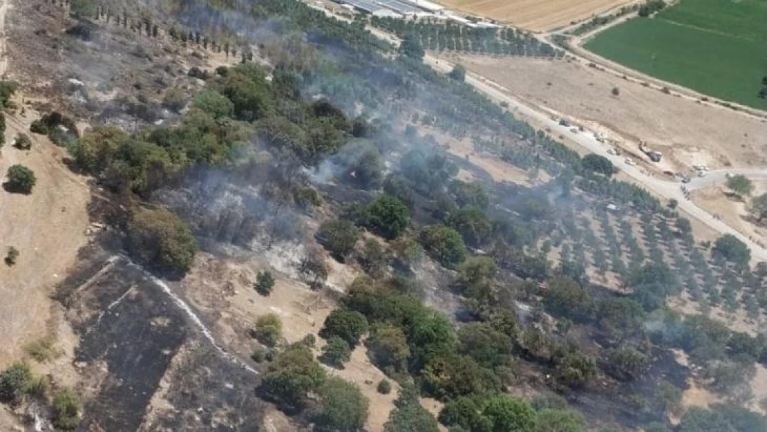 İzmir'de ziraat arazisindeki yangına havadan ve karadan müdahale