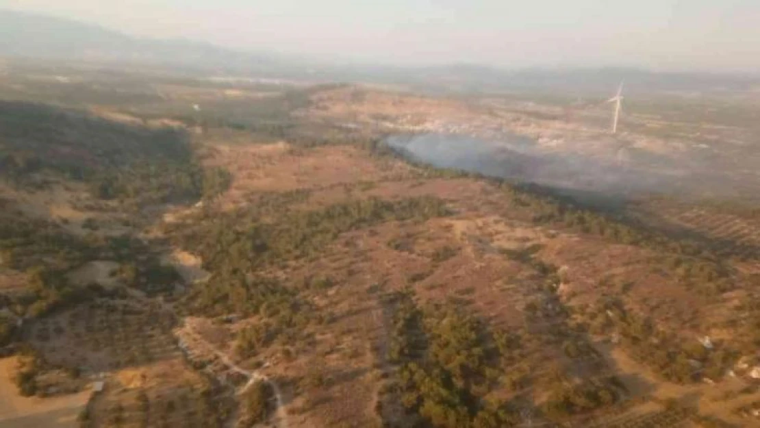 İzmir'de ziraat arazisindeki yangına müdahale ediliyor