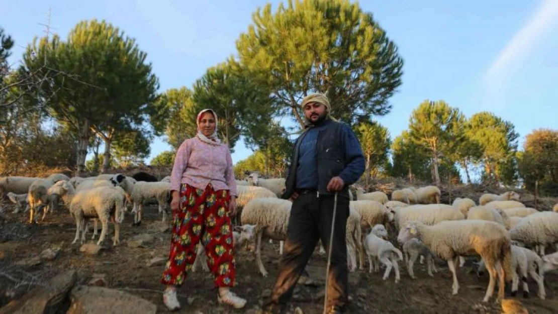 İzmir'in çoban haritası çıkarıldı