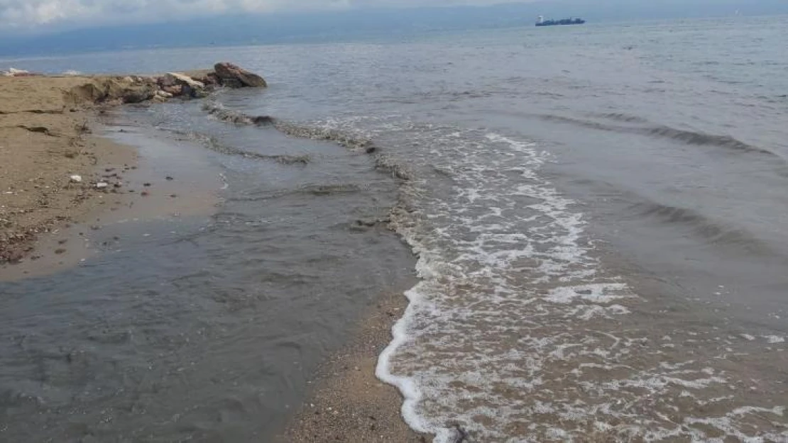 İzmit Körfezi siyaha büründü