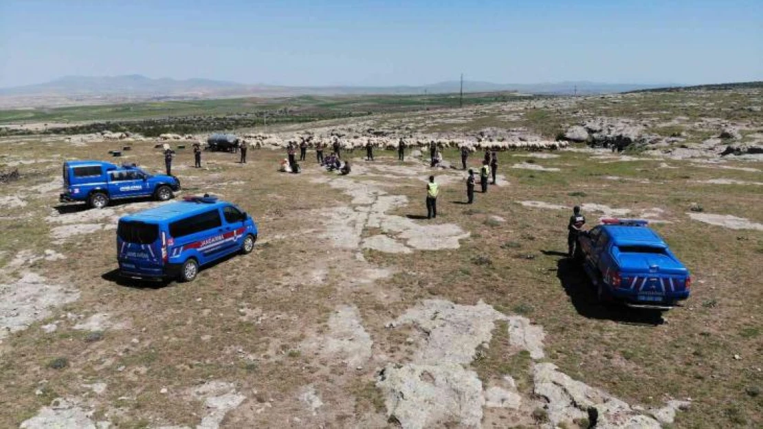 Jandarma dağlarda çoban eğitiminde