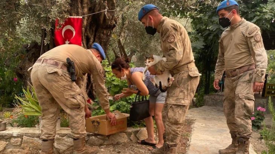 Jandarma ekipleri Datça'daki orman yangını için topyekün seferber oldu