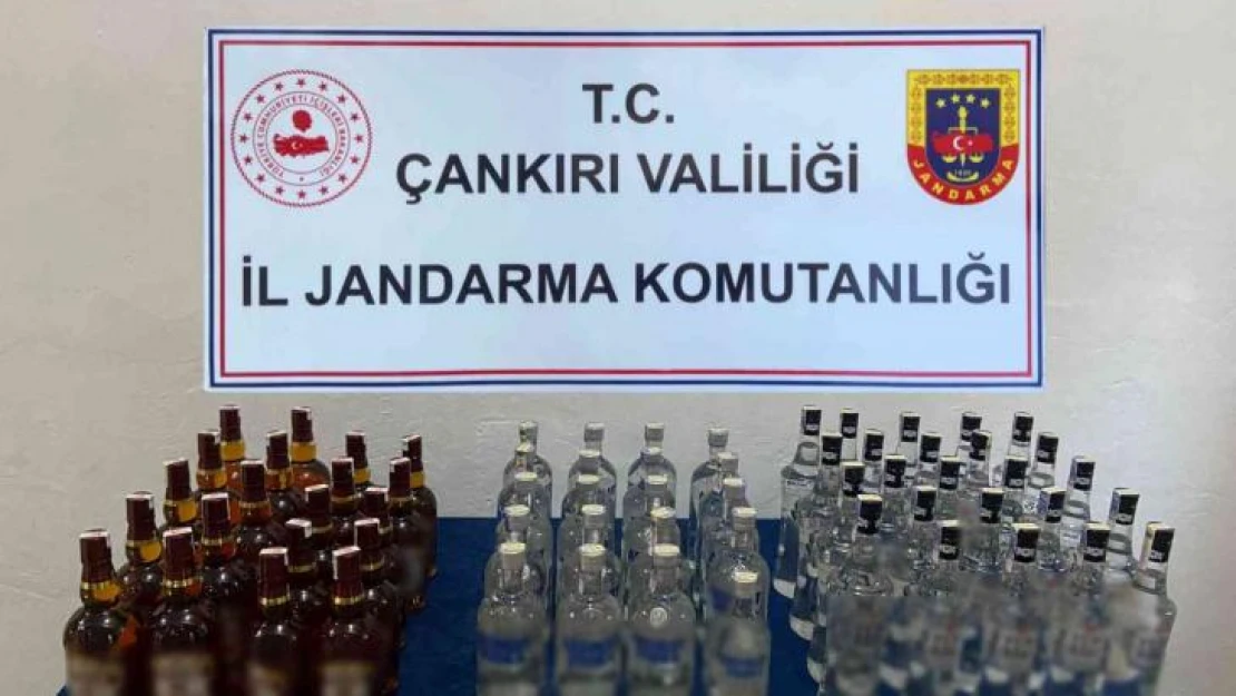 Jandarma ekiplerinin durdurduğu araçtan 54 litre kaçak alkol ele geçirildi