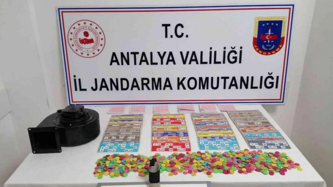 Jandarma kumarcıları suçüstü yakaladı, sandalyelerinden bile kalkamadılar