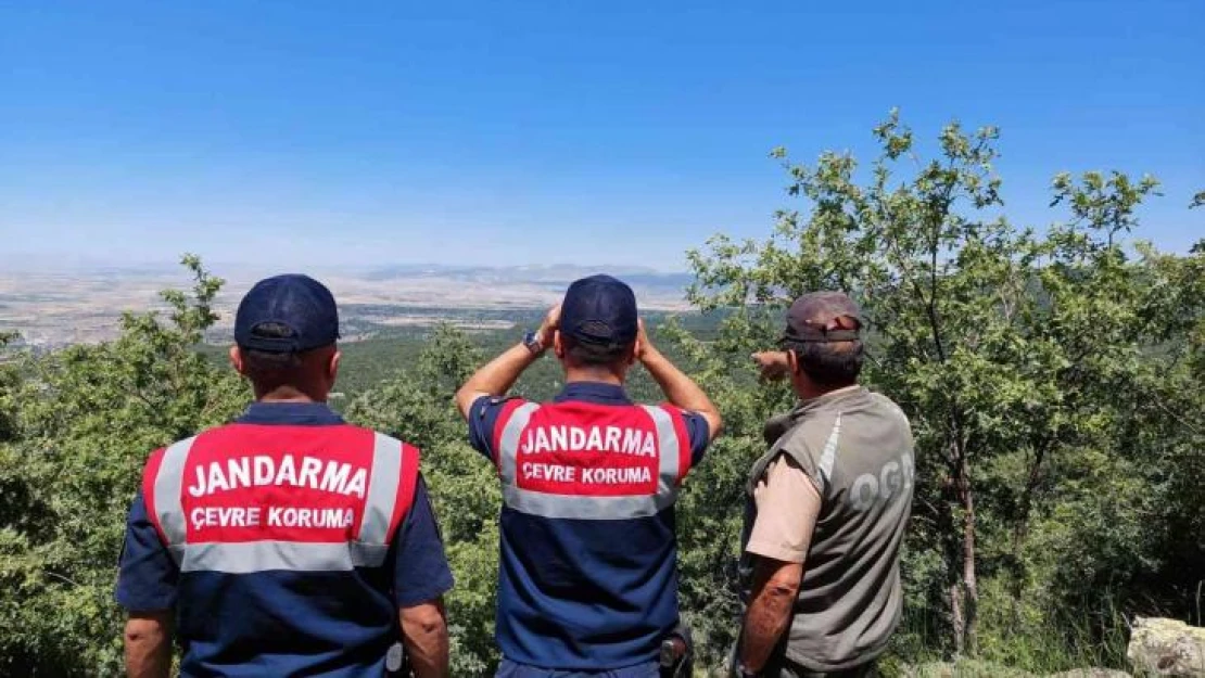 Jandarma yangınlara karşı ormanı dron ile denetliyor