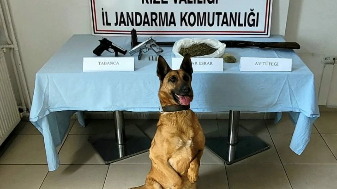 Jandarmadan uyuşturucu operasyonu: 1 gözaltı