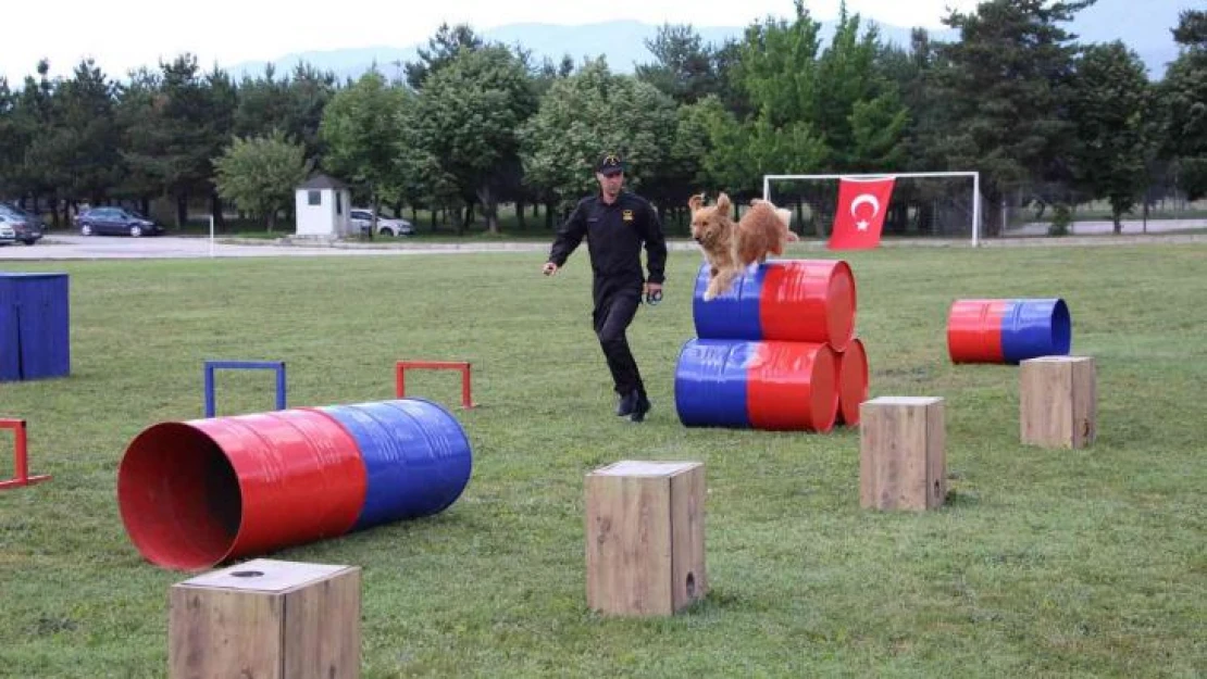 Jandarmanın eğitimli köpeklerinin gösterisi alkış topladı