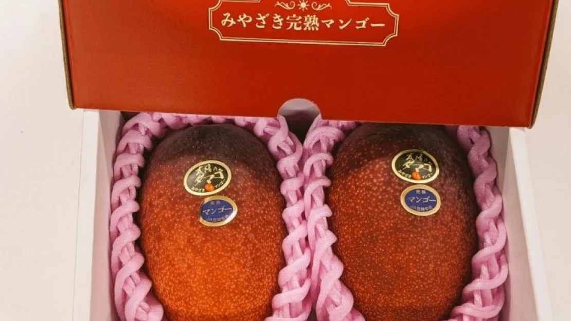 Japonya'da iki mango 58 bin 300 liraya alıcı buldu