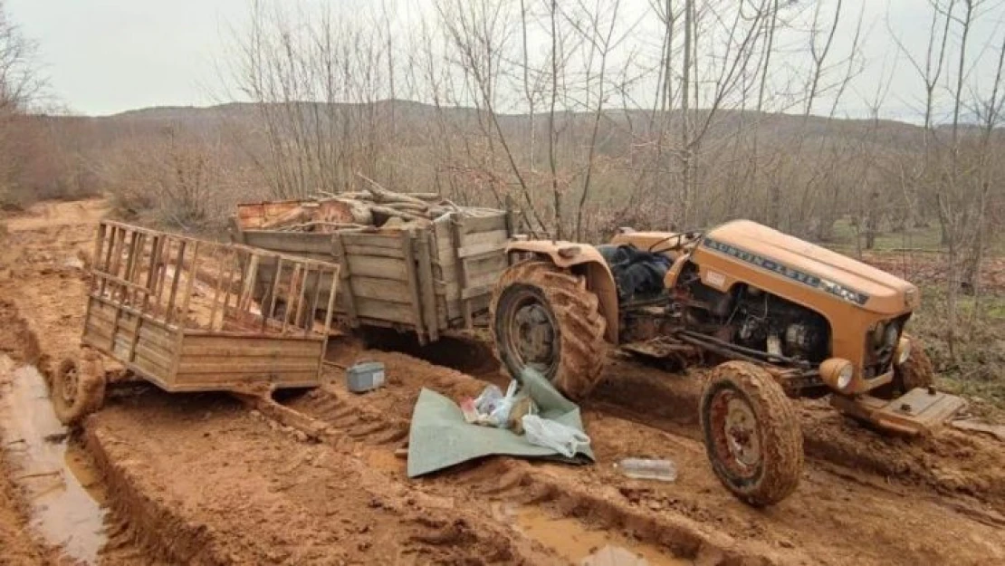 Kaçak kesim yapan 2 kişi suç üstü yakalandı