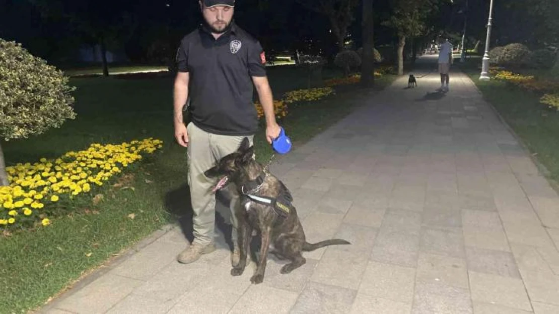 Kadıköy'de park ve bahçelerde narkotik köpekli denetim