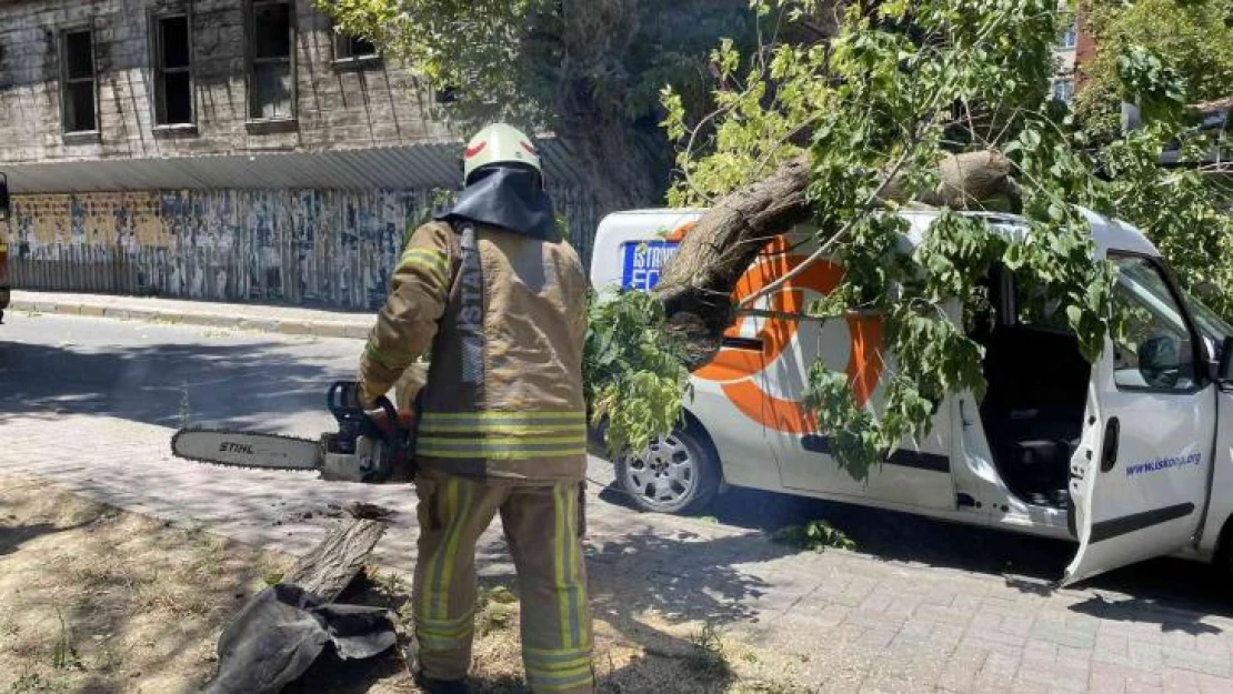 Kadıköy'de seyir halindeki aracın üzerine ağaç devrildi