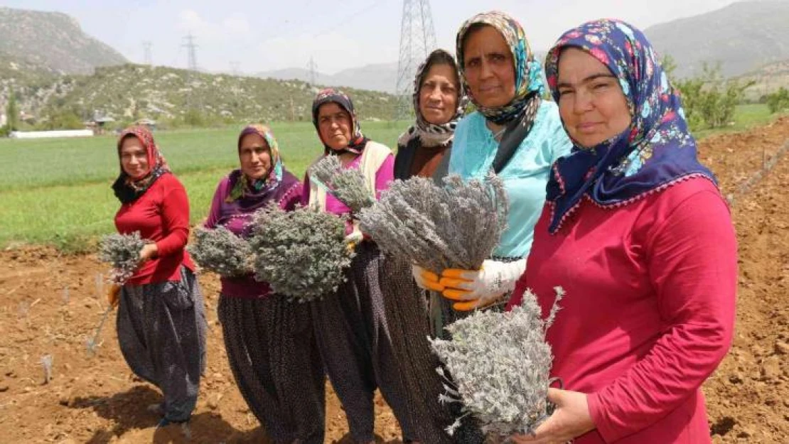 Kadınlar dikiyor, Anadolu lavanta kokuyor