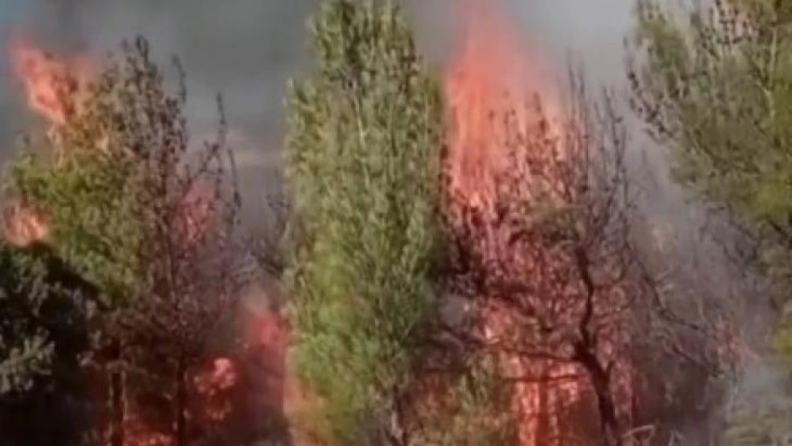 Kahramanmaraş'ta ikinci orman yangını