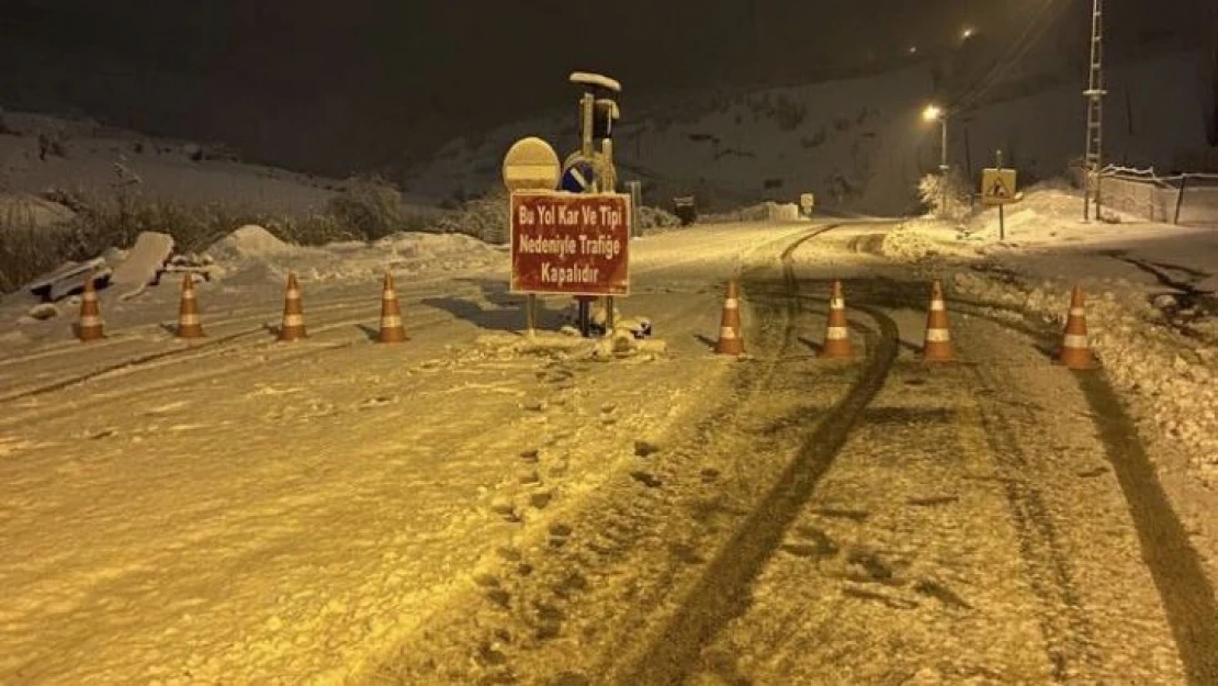 Kar, Siirt-Şırnak karayolunu araç geçişine kapattı