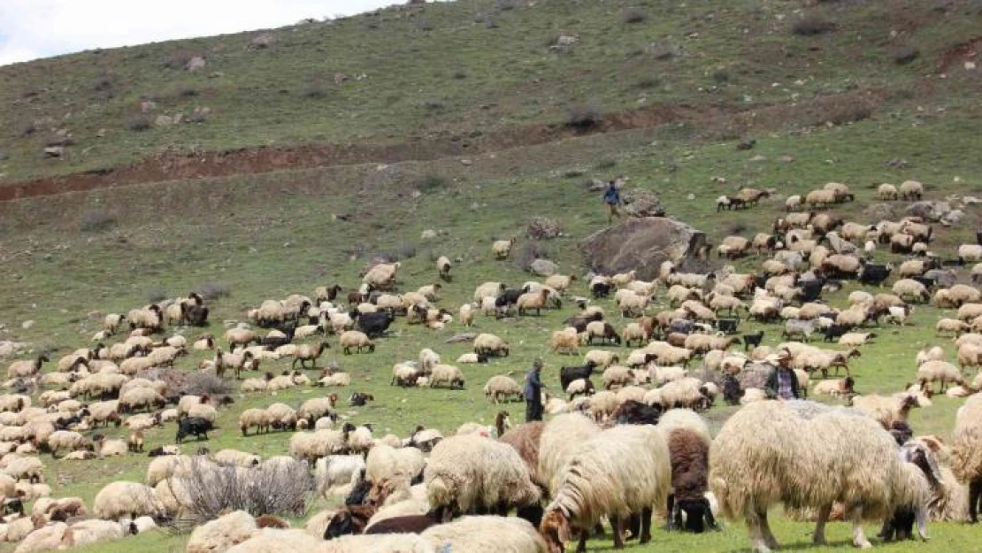 Kar ve tipi nedeniyle mahsur kalan göçerler kurtarıldı