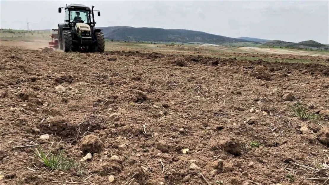 Karabük'te 2 bin dekar alanda ayçiçek ekimi yapılacak