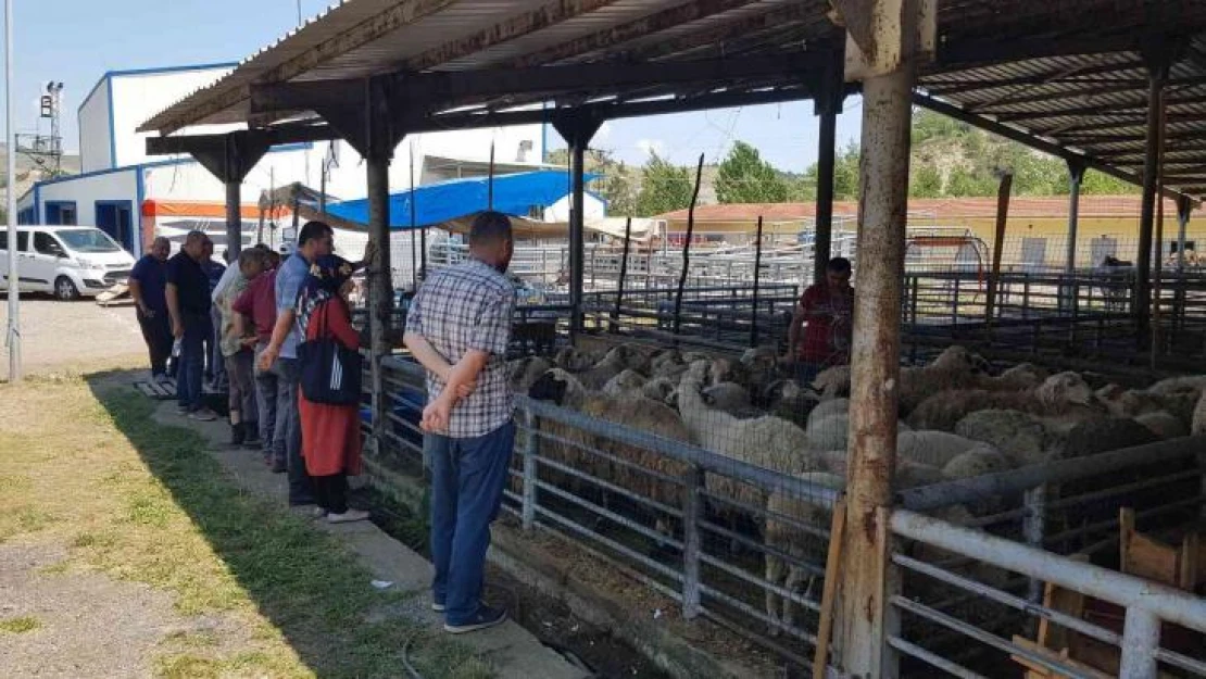 Karabük'te hayvan pazarında gözler arife gününde