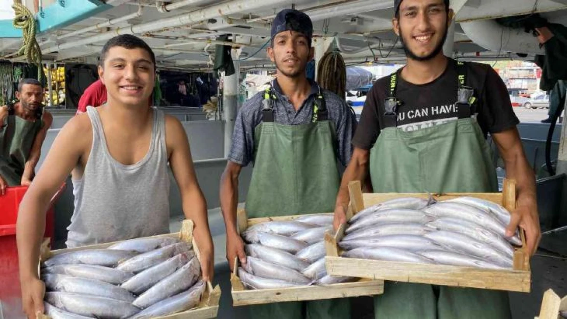 Karadeniz'de palamut bereketi devam ediyor