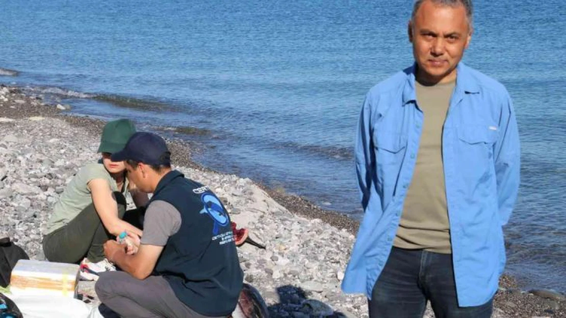 Karadeniz'de tedirgin eden görüntü