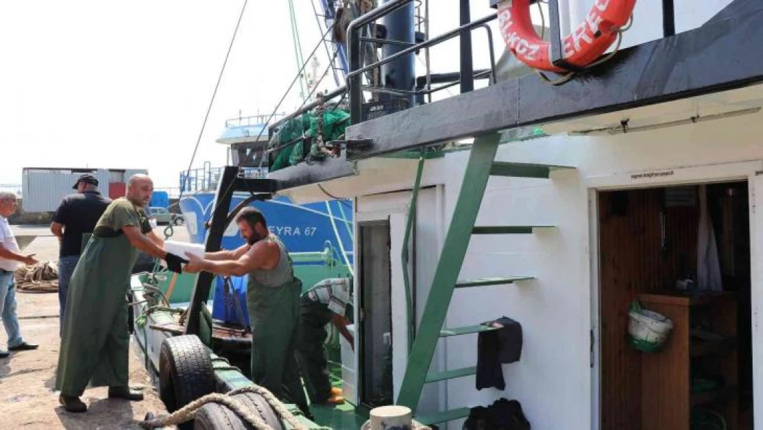 Karadeniz'de tekneler kasa kasa balıkla döndü