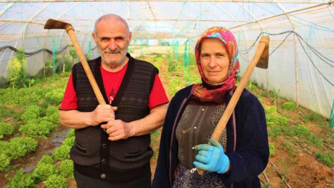 Karı-koca serada yıllardır beraber kazma sallıyor