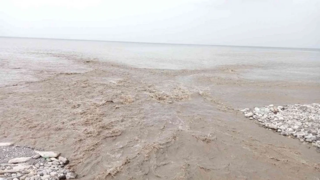 Karlar eridi, Karadeniz'in rengi kahverengiye döndü