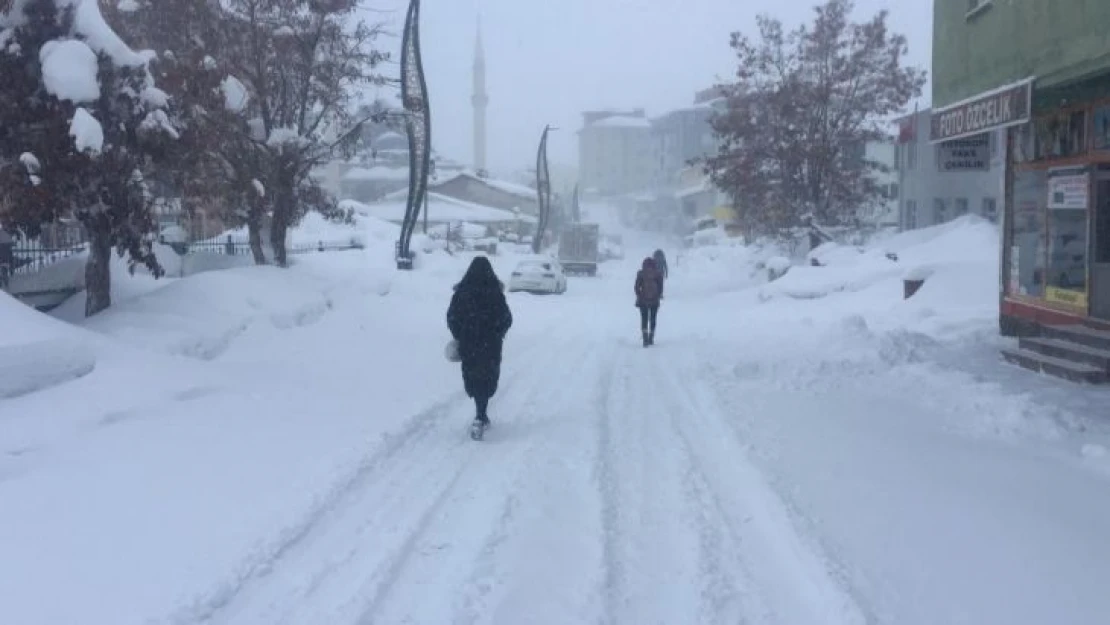 Karlıova'da eğitime 1 gün daha ara verildi