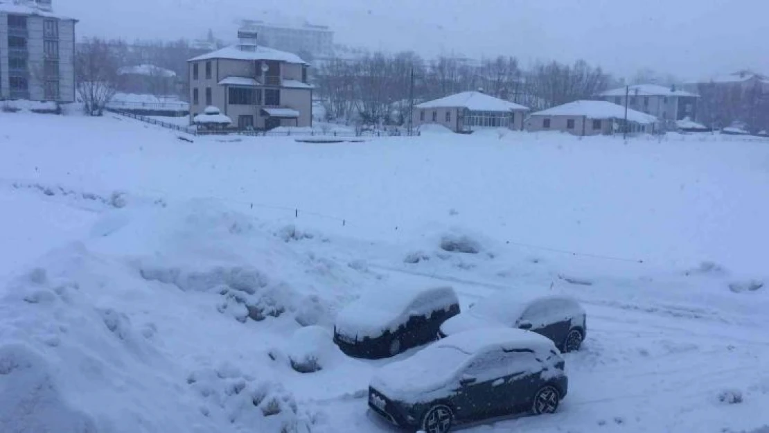 Karlıova'da vatandaşlar: 'Mart ayı dert ayı oldu'