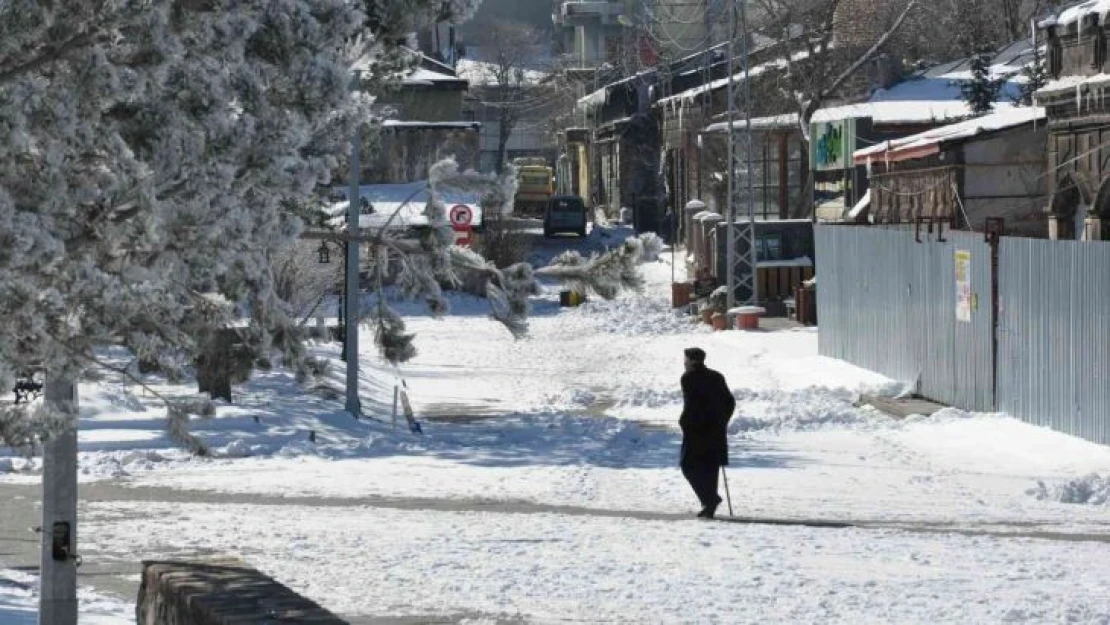 Kars eksi 13 ile dondu, ağaçlar kırağı tuttu