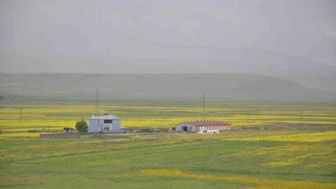 Kars gökkuşağı gibi