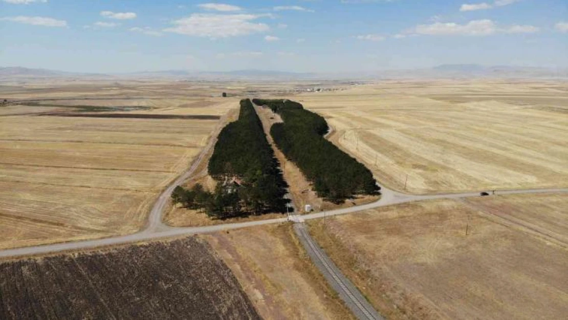 Kars'ta bozkırın ortasındaki 'vaha' büyülüyor