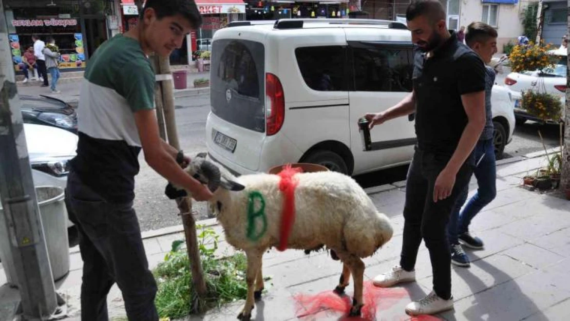 Kars'ta geline 'süslü koç gönderme geleneği' sürüyor