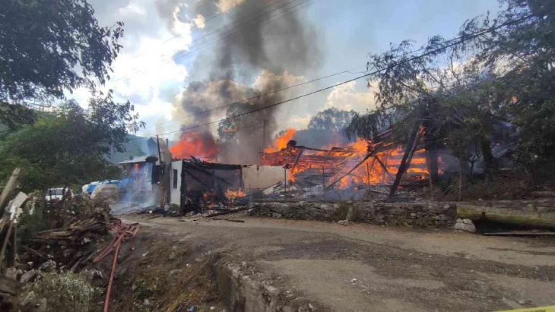 Kastamonu'da bir köy alevlere teslim oldu: Yangın çok sayıda eve sıçradı