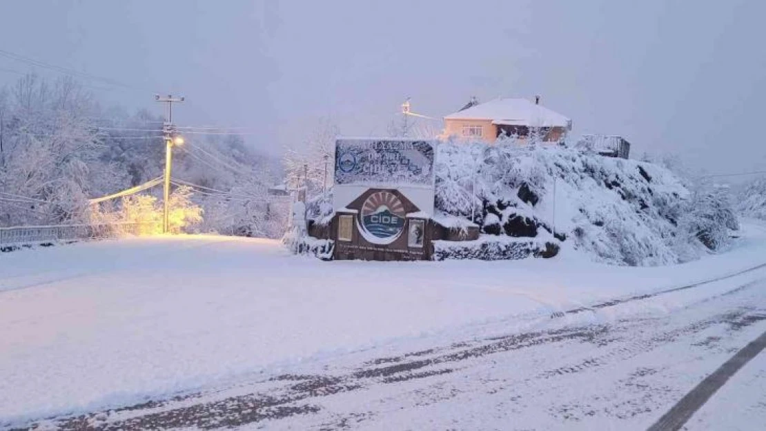 Kastamonu'da kar yağışı etkili oluyor: 3 ilçede okullar tatil edildi