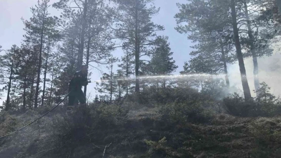 Kastamonu'da orman yangını, polis ekiplerinin dikkati sayesinde büyümeden söndürüldü