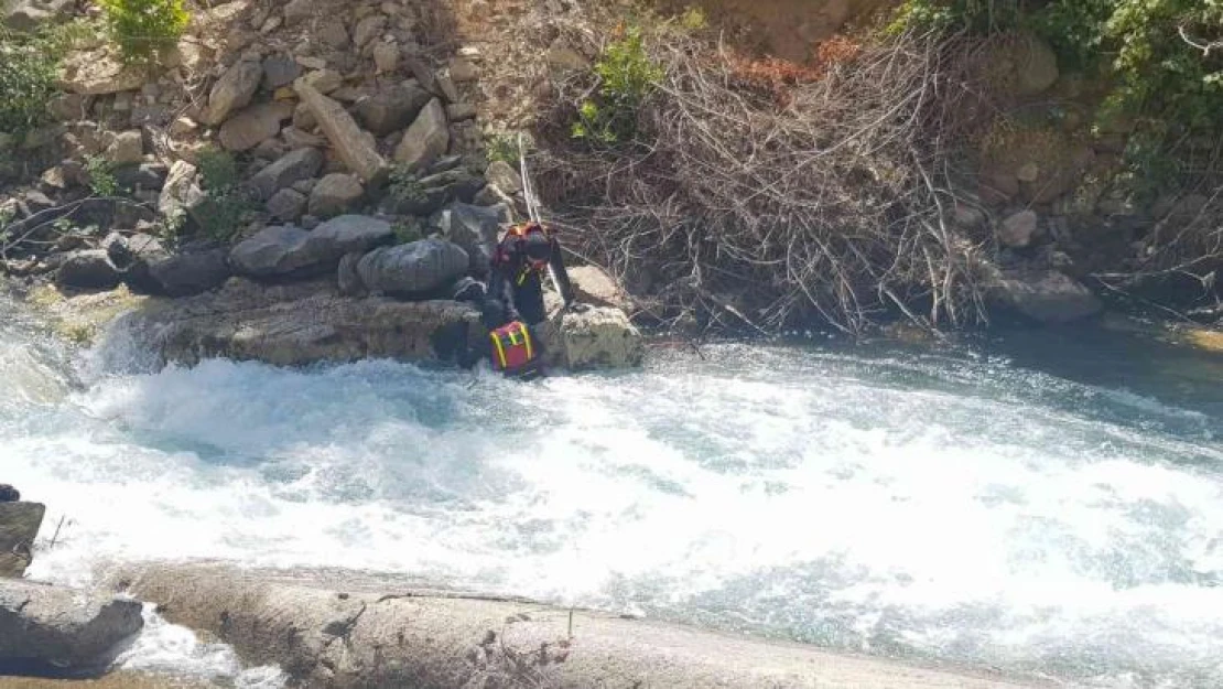 Kayıp hemşireyi arama çalışmaları 49'uncu gününde