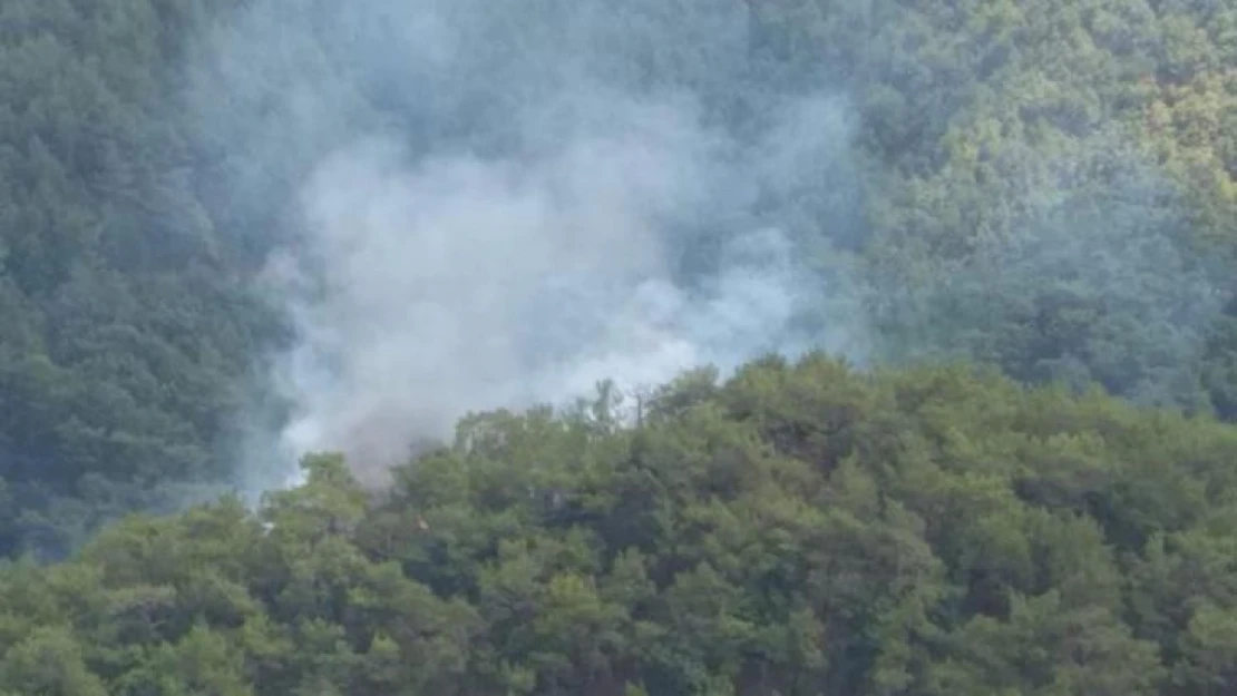 Kazdağları'nda orman yangını