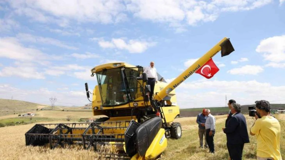 Keçiören Belediye Başkanı Turgut Altınok, ilk buğday hasadını yaptı