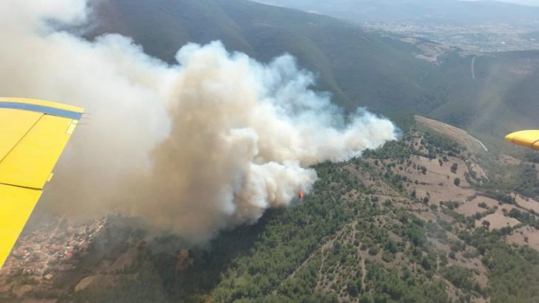 Kepsut'ta orman yangını