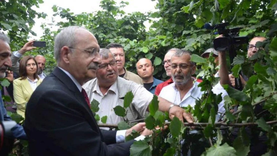 Kılıçdaroğlu: 'Fındık Karadeniz Bölgesi'nin stratejik ürünüdür'