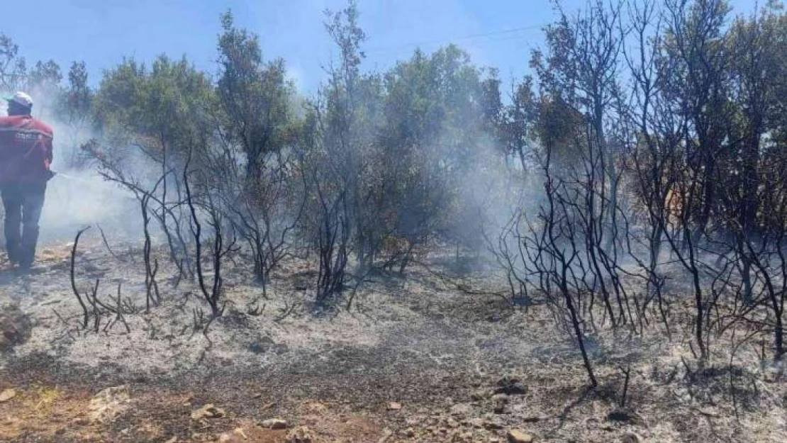 Kilis'te çıkan orman yangını kısa sürede söndürüldü