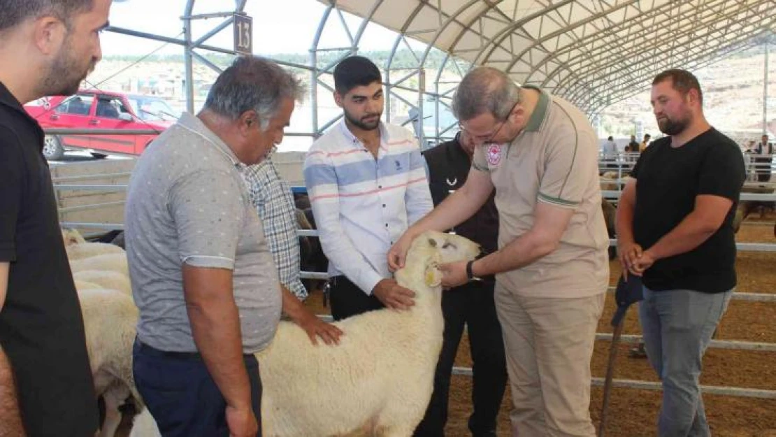 Kilis'te kurban pazarı denetlendi