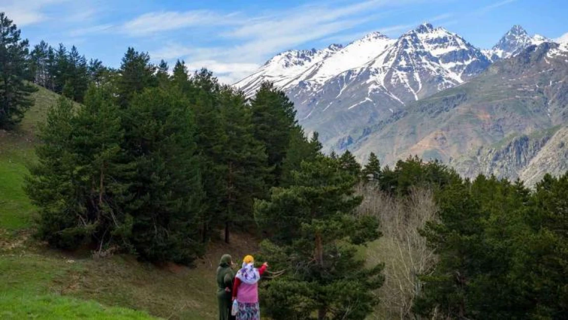 Kilometrelerce yürüdüler, tırmandılar ve doğal güzelliği fotoğrafladılar